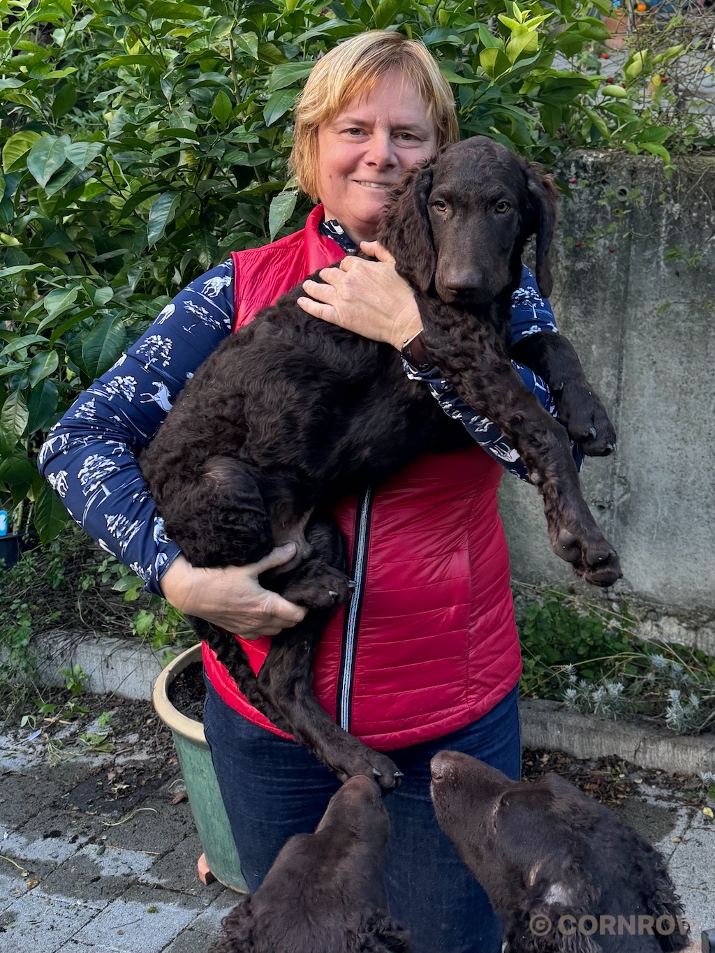 CORNROW Herr Braun Dreadlock Holiday zieht aus