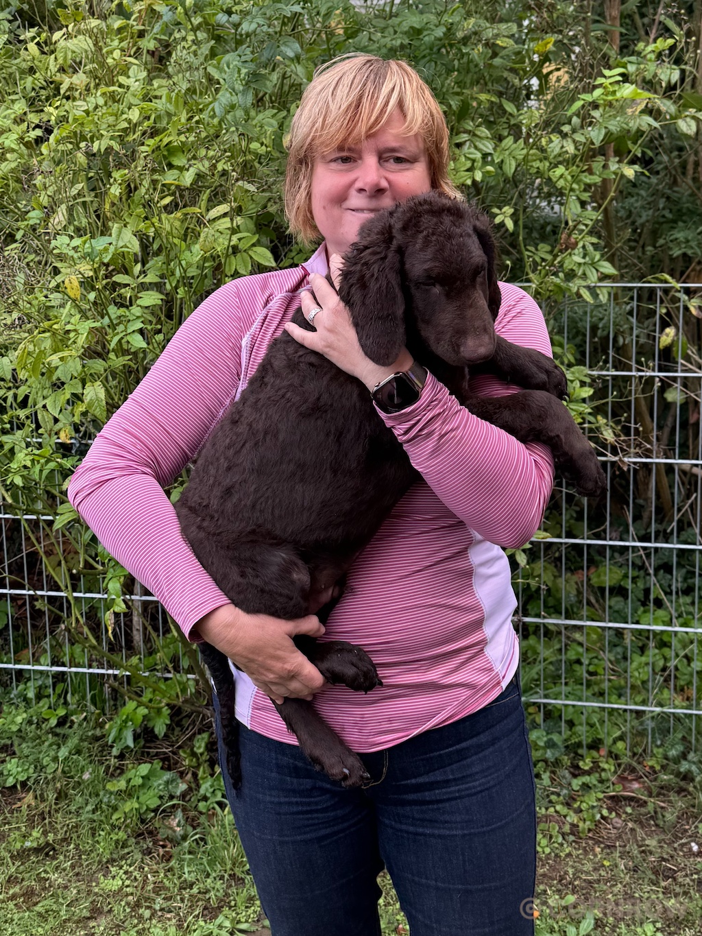 CORNROW D-Wurf Herr Gelb zieht aus