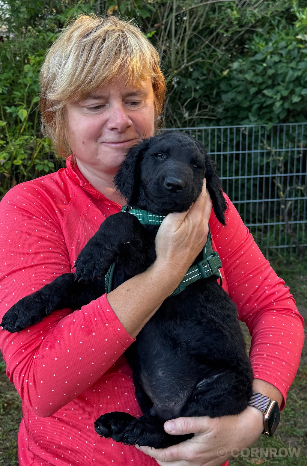 CORNROW D-Wurf Herr Grau zieht aus