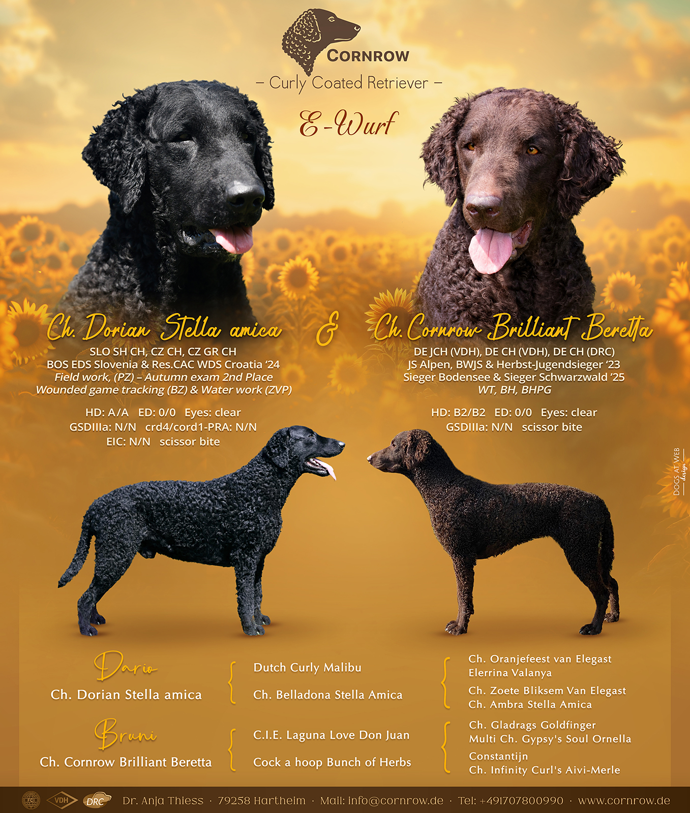 Cornrow E-Wurf Wurfanzeige