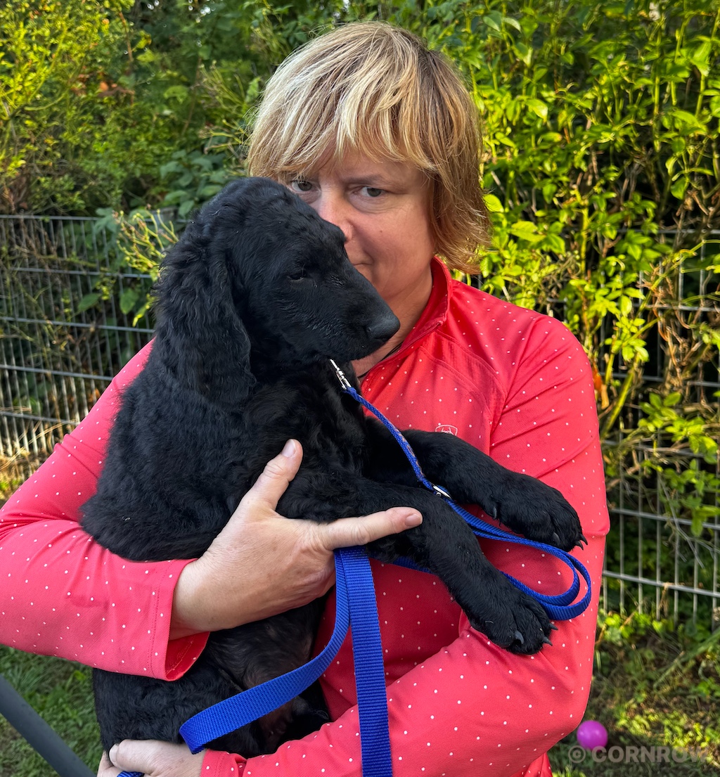 CORNROW D-Wurf Herr Blau zieht aus