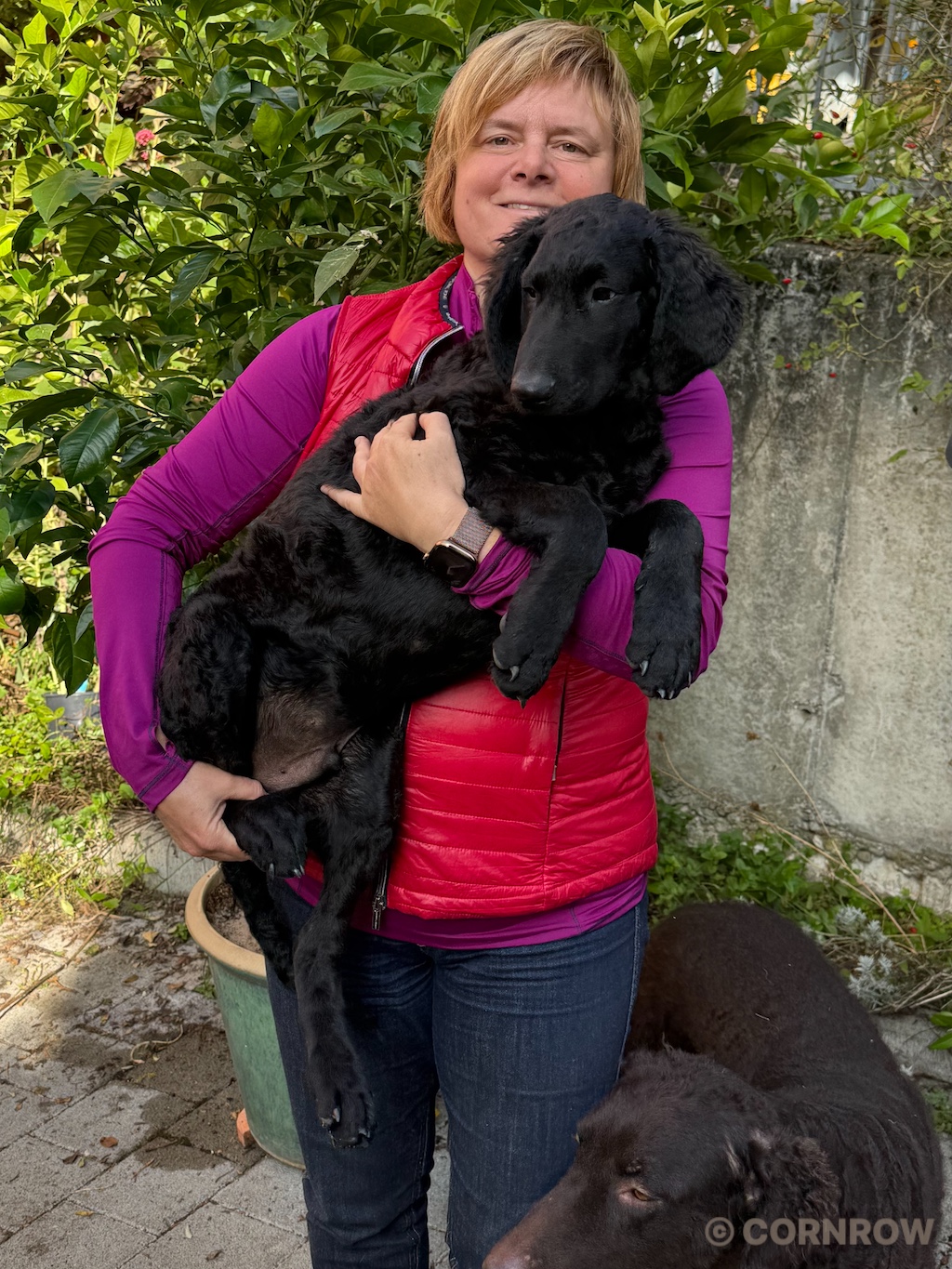 CORNROW Herr Grün Deeply Dippy zieht aus