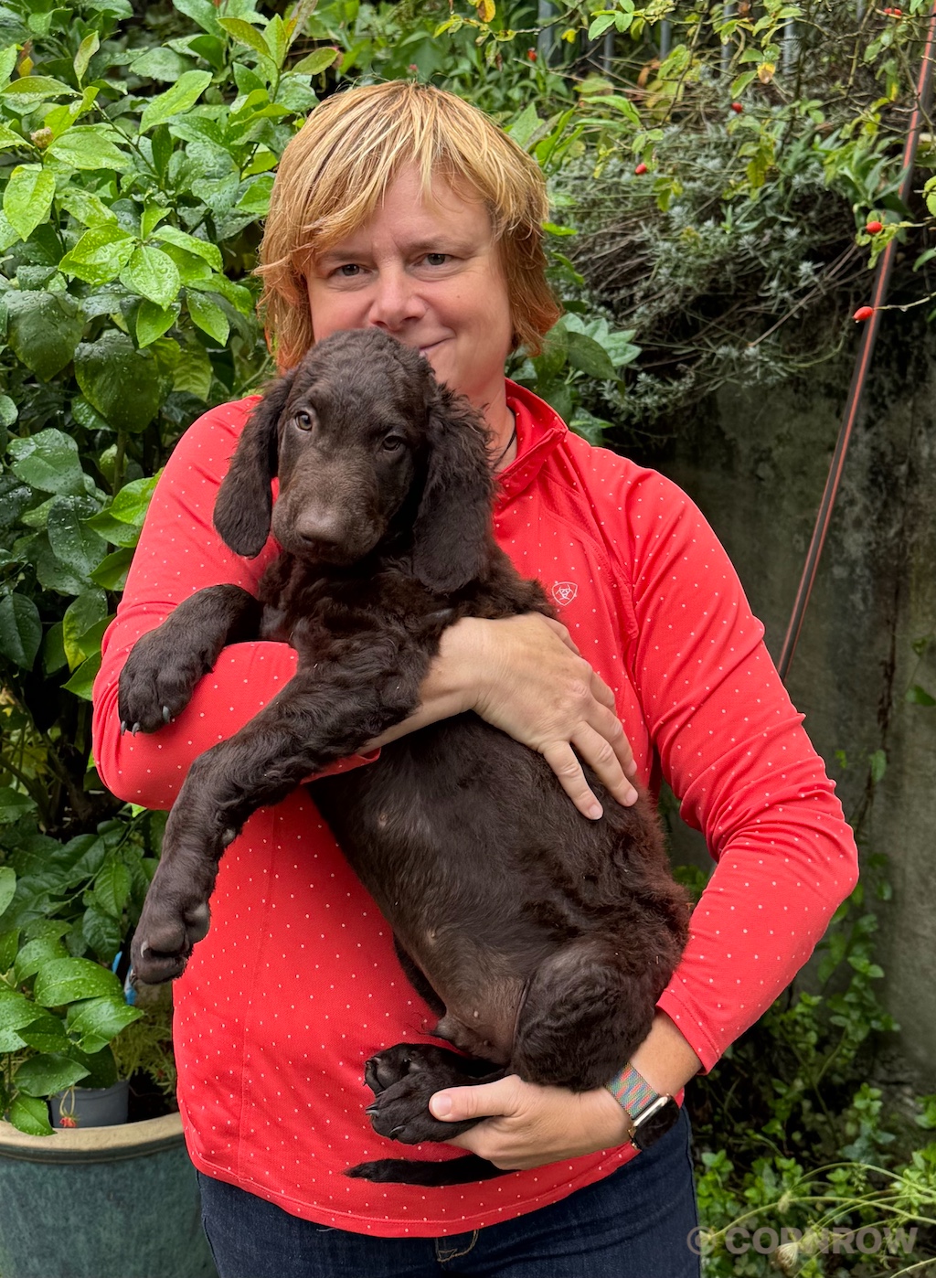 CORNROW D-Wurf Herr Rot zieht aus