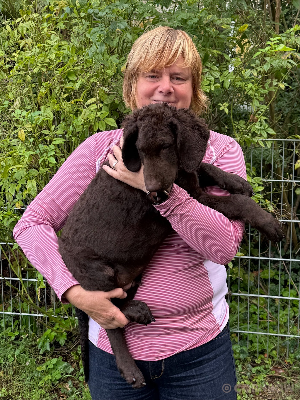 CORNROW D-Wurf Herr Türkies zieht aus