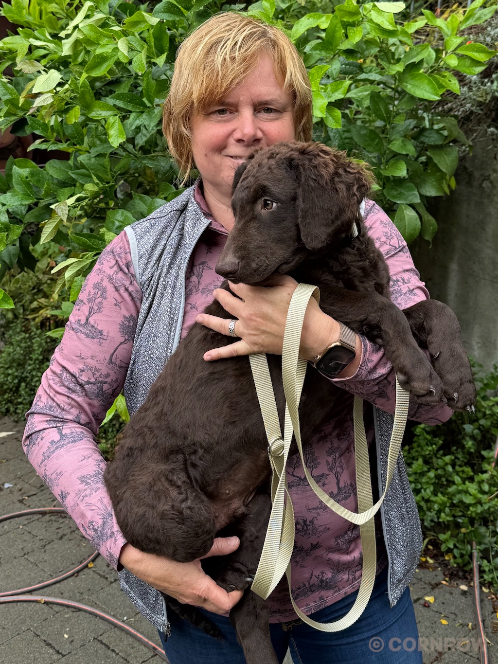 CORNROW D-Wurf Herr Weiß zieht aus