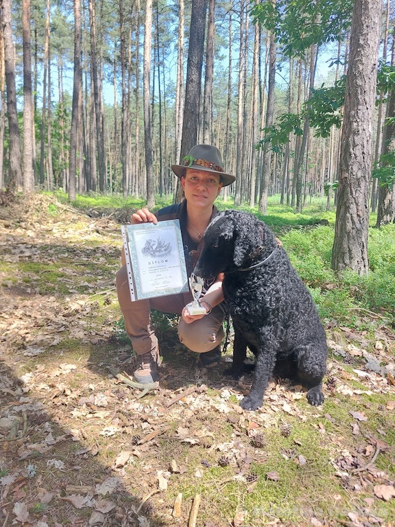 Dario D-Wurf CORNROW Curly Coated Retriever Hunde Welpen Zucht