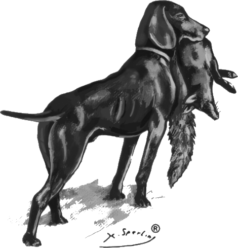 Jagdgebrauchshundeverband e.V.